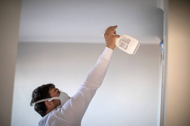 Best Home Mold Removal  in Brentwood, CA