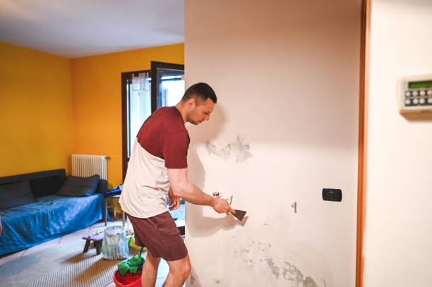 Best Office Mold Removal Services  in Brentwood, CA